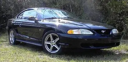 94 stang.webp