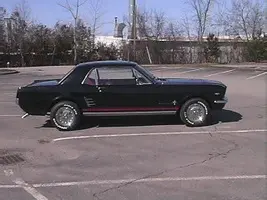 mustang2.webp