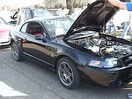 Roys%20Cobra%203.webp