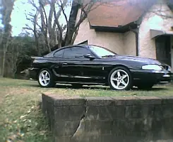 mustang9001.webp