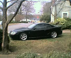mustang1001.webp