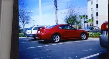 stang vacation.webp