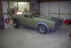 STANG1 (2).webp