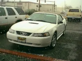 dads new car jpg.webp
