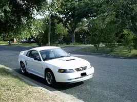 car_pic2a.webp