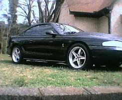 mustang5001.webp