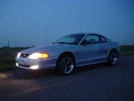 Mustang-2.webp