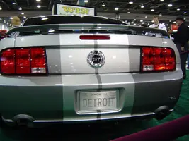 05-Stang-1.webp