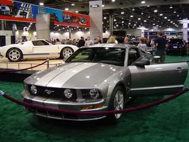 05-Stang-6.webp