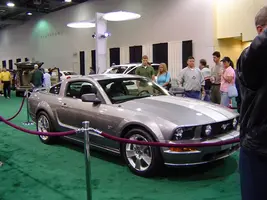 05-Stang-2.webp