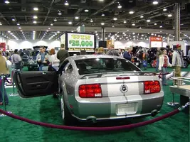05-Stang-4.webp