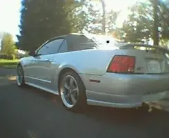 lowerd stang.webp