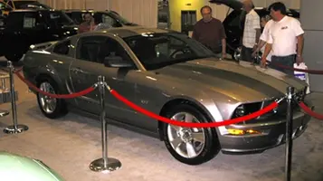 11 Stang 2.webp