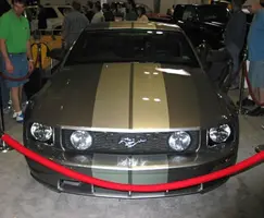 11 Stang 3.webp