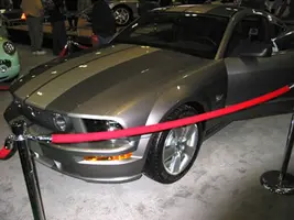 11 Stang 5.webp