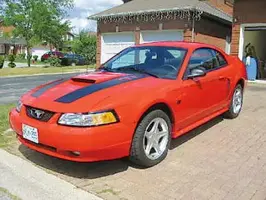 Our_Mustang.webp