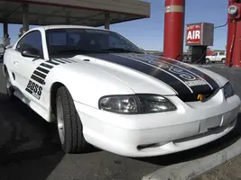 Chris_Mustang.webp