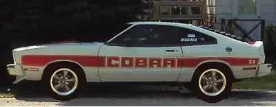 cobrawbullitt.webp
