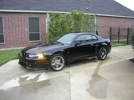 Roush8.webp
