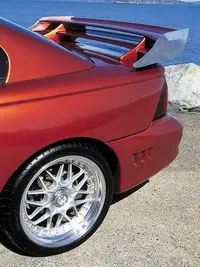 picineed2.webp