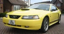 mustang small 1.webp