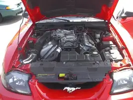 Cobra4.webp