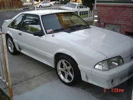fox 01 3.webp
