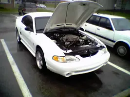 NOS COBRA.webp