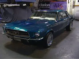mustangMTV.webp