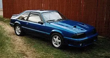 stang1.webp