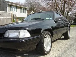 stang-003.webp