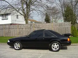stang-001.webp