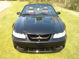 pic006.webp