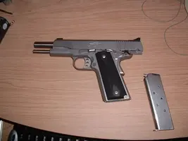 Kimber 001.webp