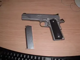 Kimber 003.webp