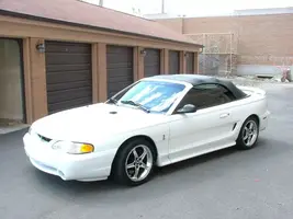 cobra 001.webp