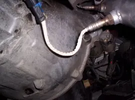 9f891e8c.webp