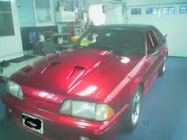 Picture011[1].webp