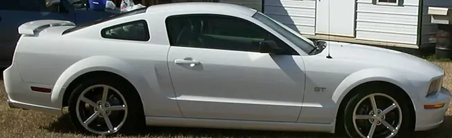 mustang.webp