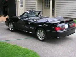 DSCN0528.webp