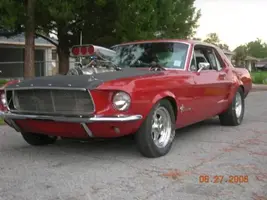 stang 2.webp