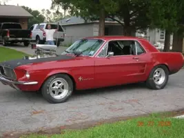 stang 3.webp