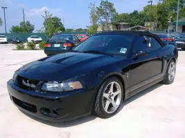 mustang1.webp