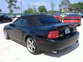mustang6.webp
