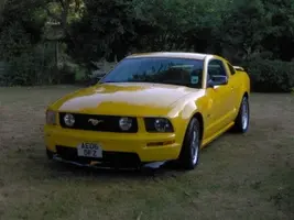 Full_1.webp