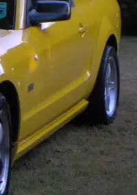 rear_1.webp