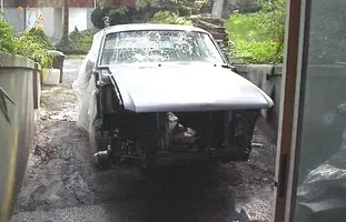 sally0801.webp