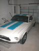 fastback.webp