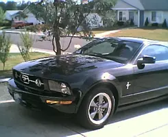 Photo006.webp