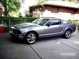 Mustang Side II.webp